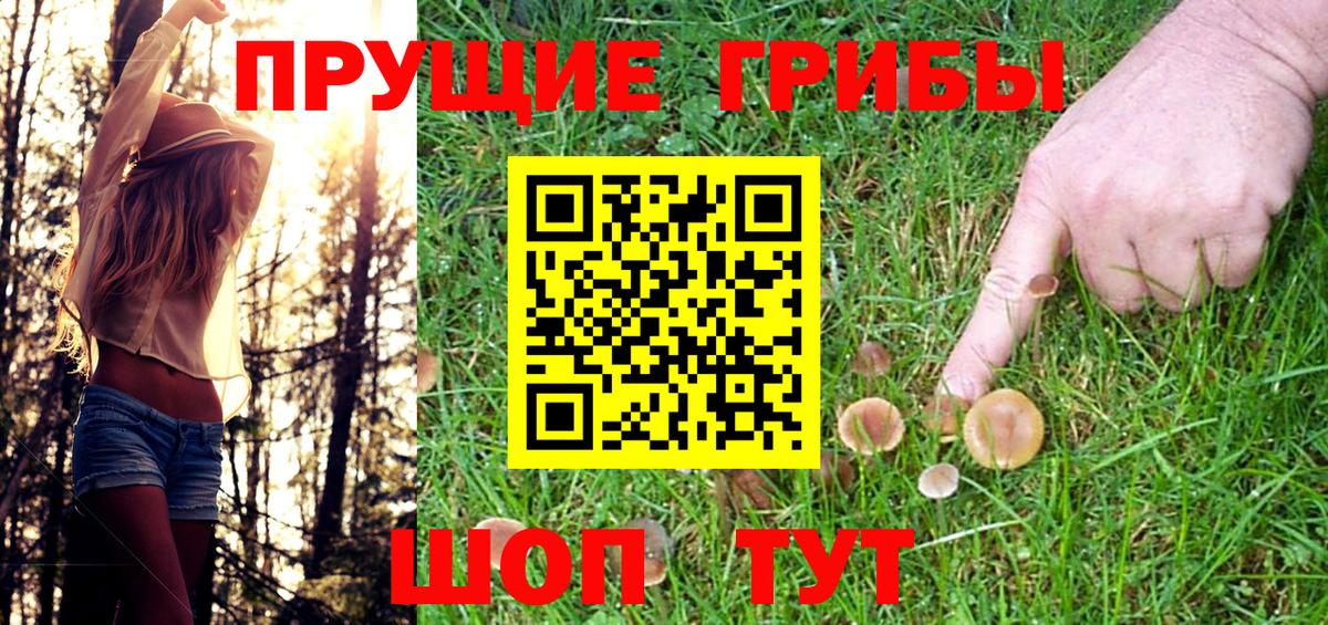 Псилоцибиновые грибы GOLDEN TEACHER Жуковский